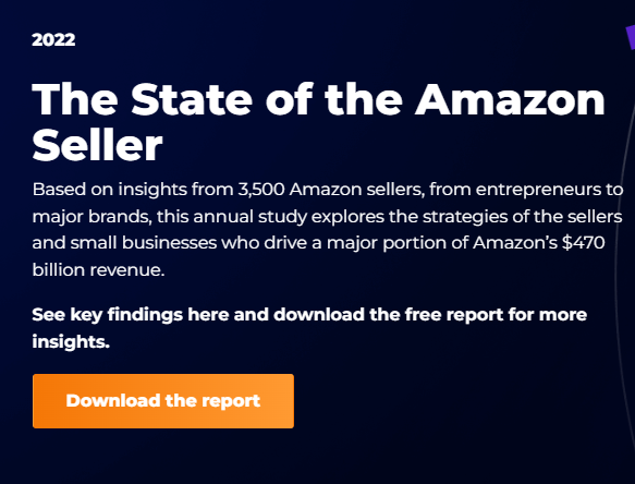 The State of the Amazon Seller